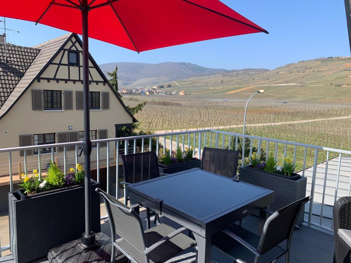 Gite Les Terrasses Du Mambourg A Kaysersberg-Vignoble Exteriér fotografie